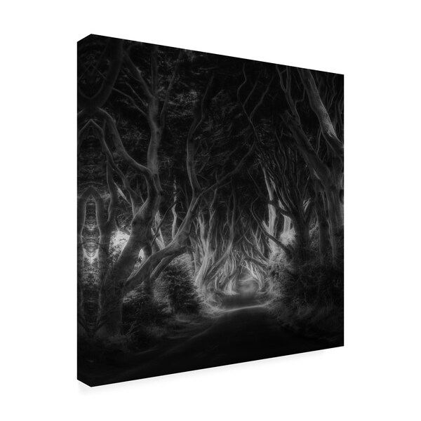 Saskia Dingemans 'The Dark Hedges Bewitched' Canvas Art,14x14